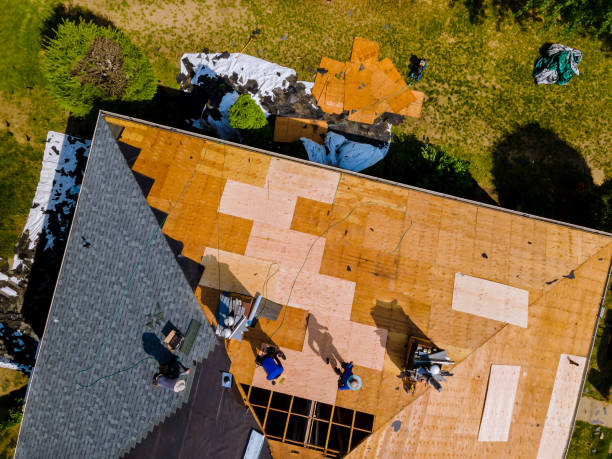 Best Metal Roofing Contractor  in Thornton, CO